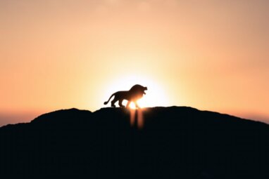 The Lion’s Gate Portal: How To Use Its Powerful Energy On 8-8 (And Beyond)