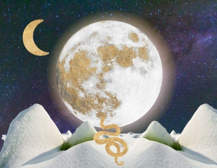 Moon Astrology: The Ultimate Planet Guide