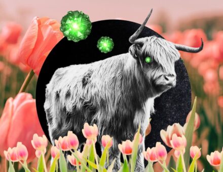 April’s Taurus New Moon Is a Supermoon-Sized Wake-Up Call to Simplify Your Life