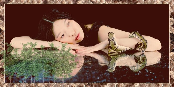Year of the Snake: 2025 Is the Year of the Wood Snake, A Time for Personal Evolution