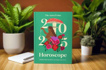 The AstroTwins’ 2025 Horoscope Planner: The Annual Guide for Astrology Lovers