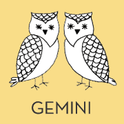 animal-orange-gemini