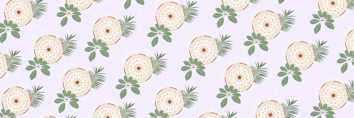 Astrology Charts: Natal, Synastry, Composite and More by The AstroTwins