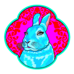 Year of the Rabbit AstroTwins