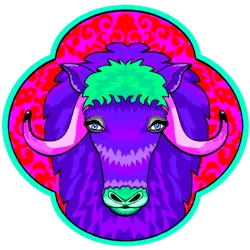 Ox 