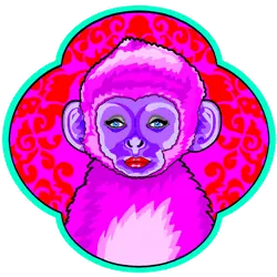Monkey 