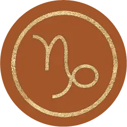 Capricorn Career