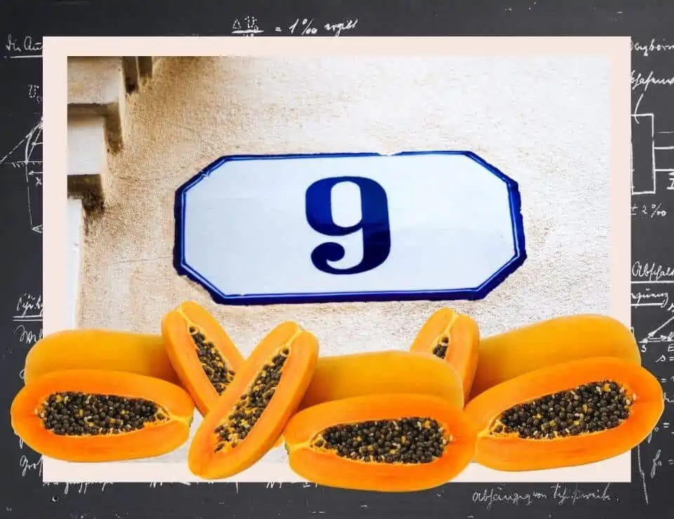 9 life path