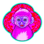 Year of the Monkey AstroTwins