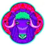 Year of the Ox AstroTwins