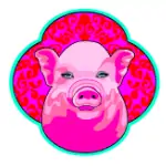 Year of the Pig AstroTwins